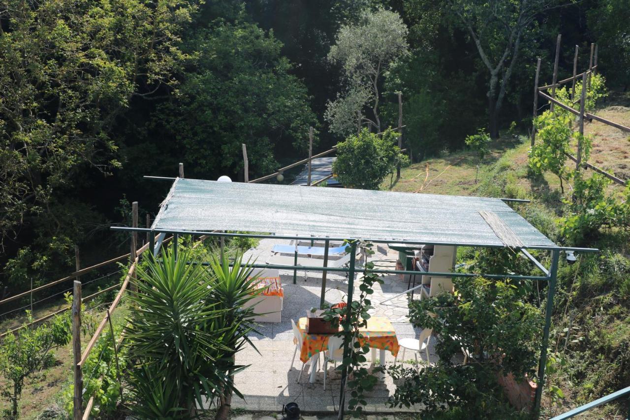 Villa Maremonti - Con 3 Piscine Sestri Levante Exterior photo